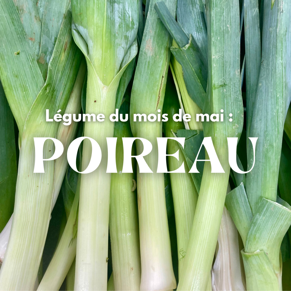 Le poireau: le légume de saison du mois de mai